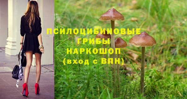 ешки Волосово