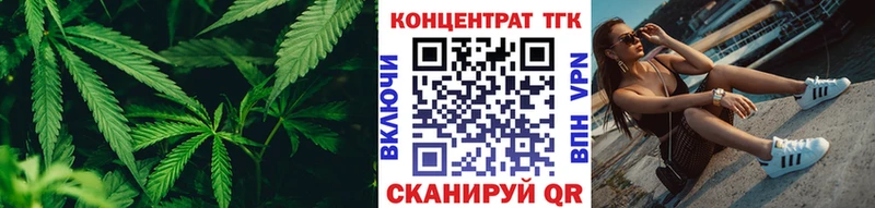 Купить закладки  Нижнеудинск  ТГК THC oil 